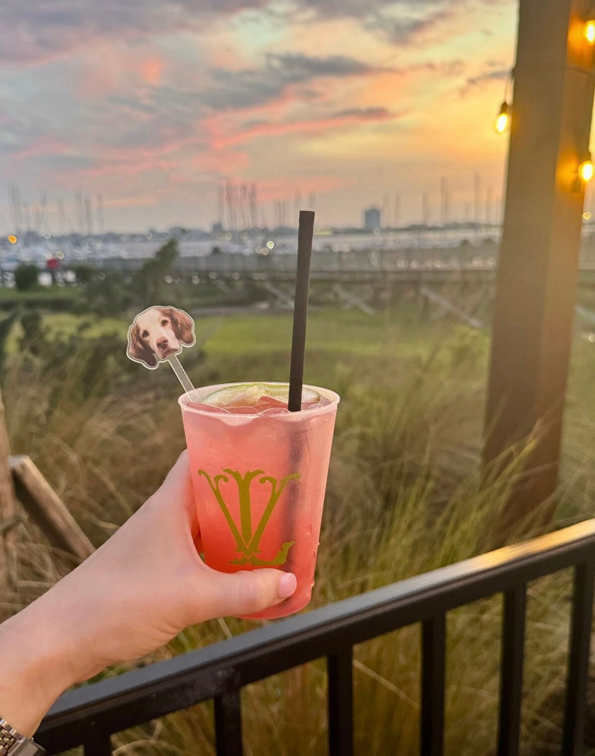 16oz Shatterproof Frosted Cups