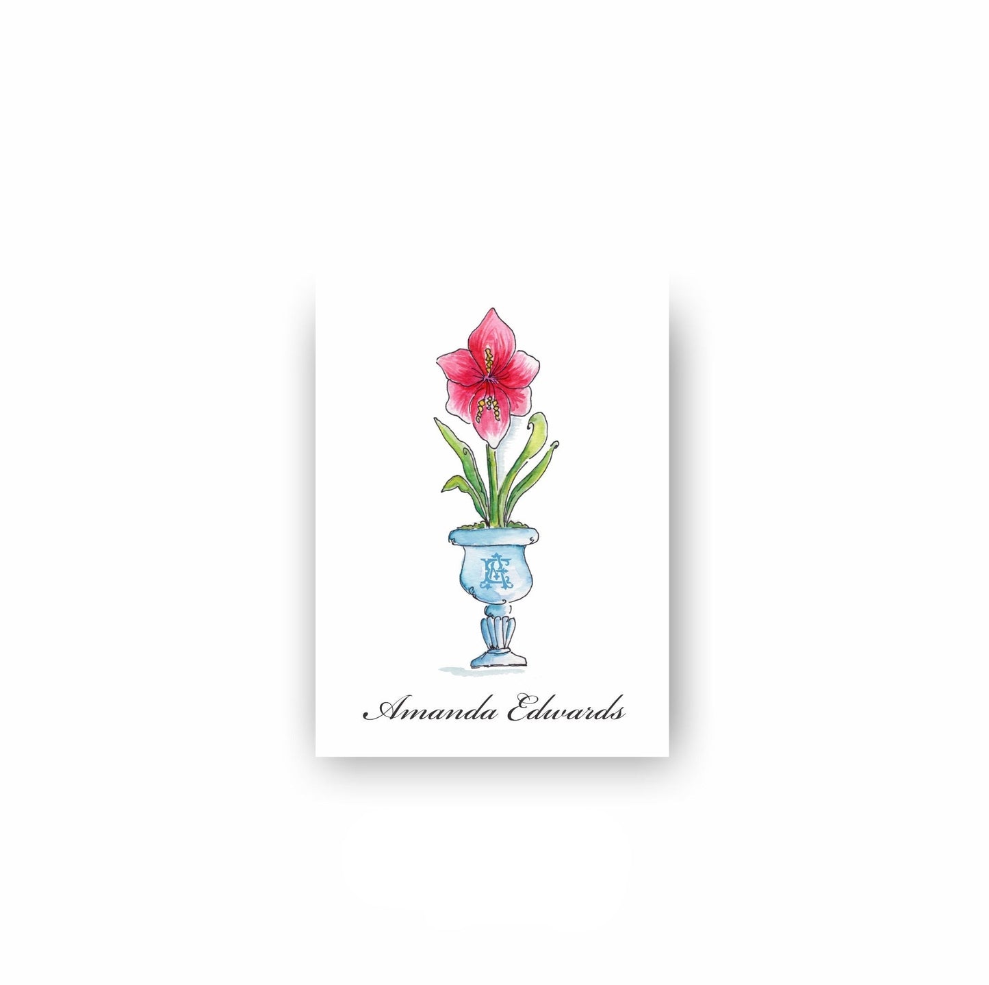 Amaryllis Gift Tag